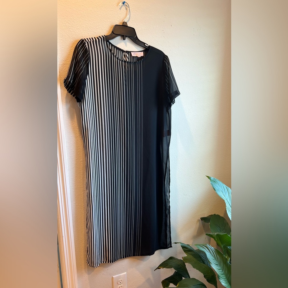 Sheer tunic top
